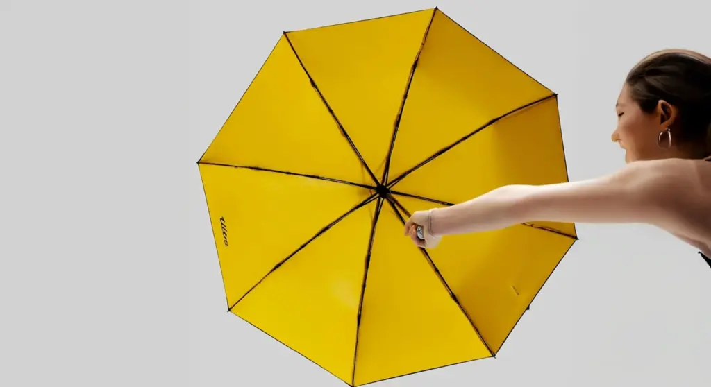 Umbrella 1754170363.webp